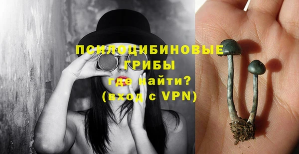 бутират Алзамай