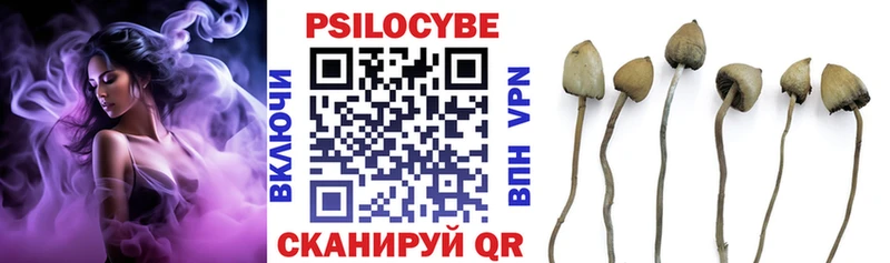 дарнет шоп  Поронайск  Галлюциногенные грибы GOLDEN TEACHER 